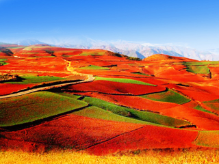 ทัวร์จีน, DONGCHUAN RED LAND ทัวร์จีน, DONGCHUAN RED LAND