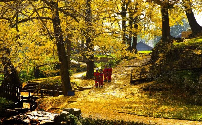 ทัวร์จีน, หมู่บ้านโถ่วเล่อ ทัวร์จีน, หมู่บ้านโถ่วเล่อ