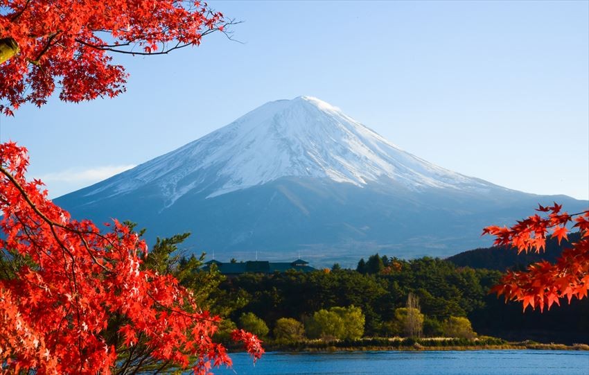 ทัวร์ญี่ปุ่น, Fuji