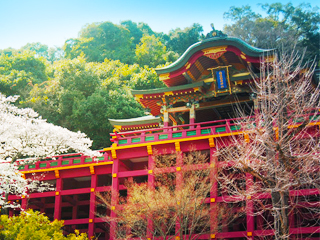 ทัวร์ญี่ปุ่น, Yutoku Inari Shrine ทัวร์ญี่ปุ่น, Yutoku Inari Shrine