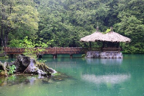 ทัวร์ไต้หวัน, อุทยานแห่งชาติอาลีซาน ทัวร์ไต้หวัน, อุทยานแห่งชาติอาลีซาน